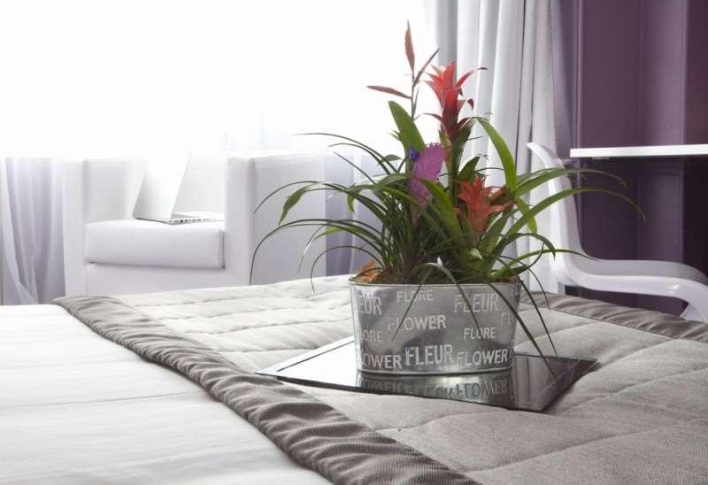 Hotel Cecyl Reims Centre 객실 사진